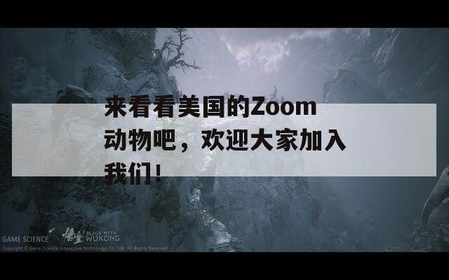 来看看美国的Zoom动物吧，欢迎大家加入我们！  第1张