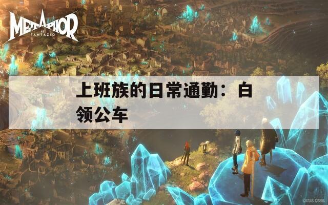 上班族的日常通勤：白领公车  第1张