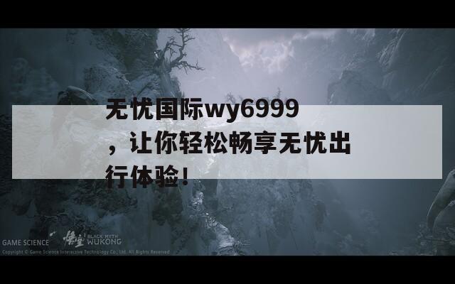 无忧国际wy6999，让你轻松畅享无忧出行体验！  第1张