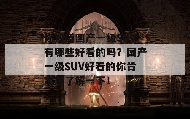 你知道国产一级SUV有哪些好看的吗？国产一级SUV好看的你肯定想了解一下！  第1张