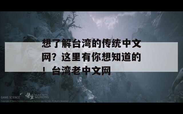 想了解台湾的传统中文网？这里有你想知道的！台湾老中文网