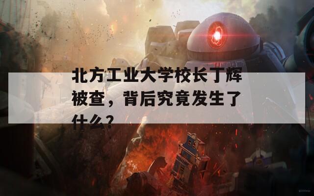 北方工业大学校长丁辉被查，背后究竟发生了什么？