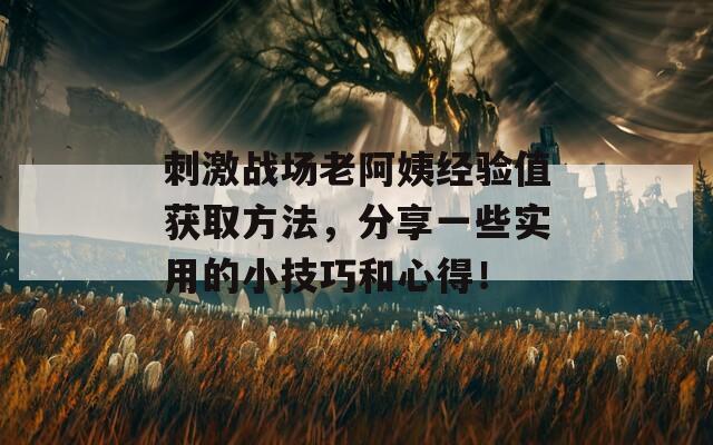 刺激战场老阿姨经验值获取方法，分享一些实用的小技巧和心得！  第1张