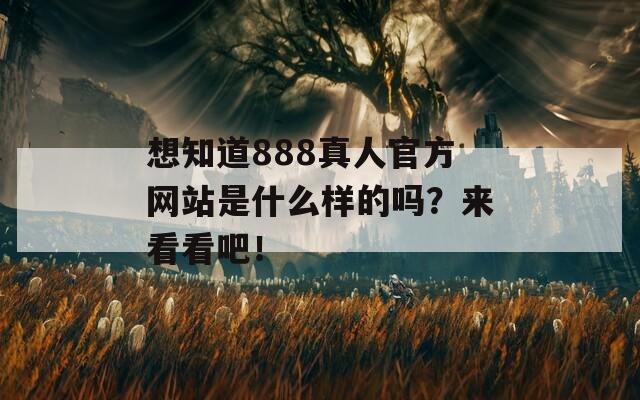 想知道888真人官方网站是什么样的吗？来看看吧！  第1张