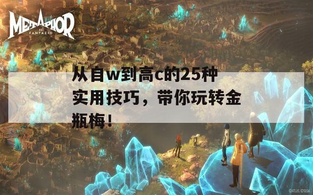 从自w到高c的25种实用技巧，带你玩转金瓶梅！  第1张