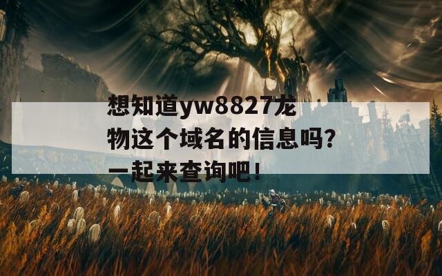 想知道yw8827龙物这个域名的信息吗？一起来查询吧！  第1张