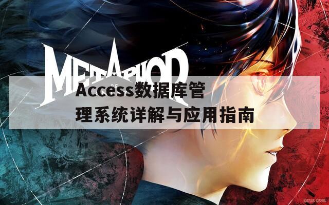 Access数据库管理系统详解与应用指南  第1张