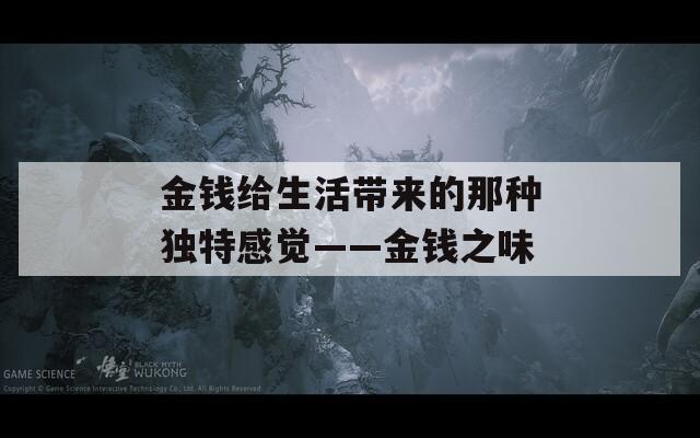 金钱给生活带来的那种独特感觉——金钱之味  第1张