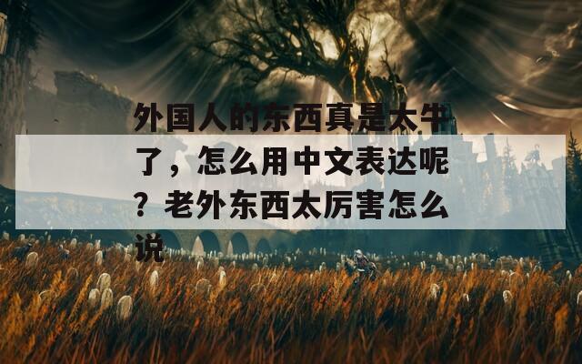 外国人的东西真是太牛了，怎么用中文表达呢？老外东西太厉害怎么说  第1张