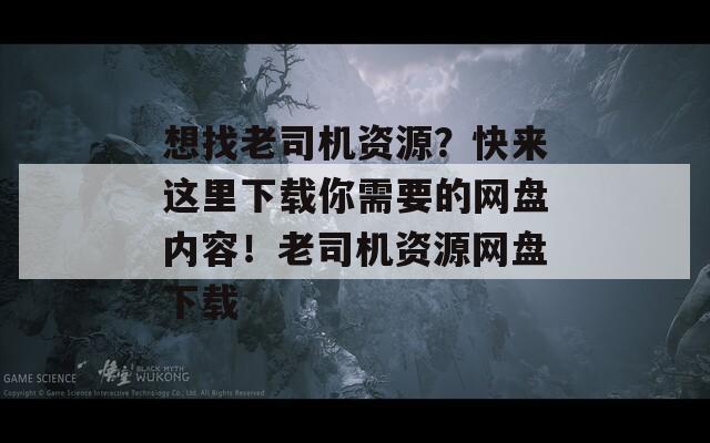 想找老司机资源？快来这里下载你需要的网盘内容！老司机资源网盘下载  第1张