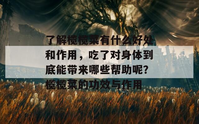 了解榄榄菜有什么好处和作用，吃了对身体到底能带来哪些帮助呢？榄榄菜的功效与作用