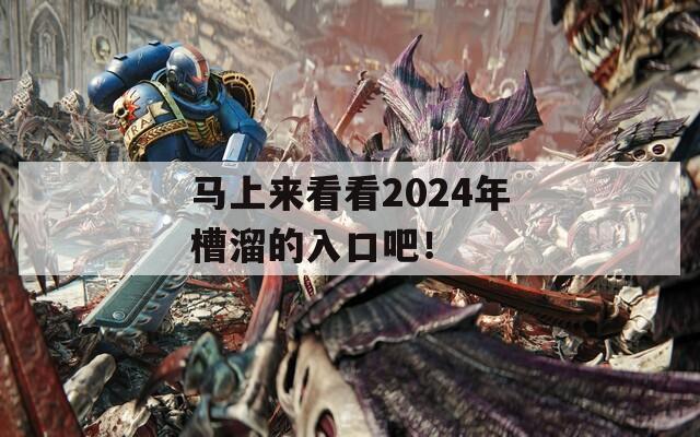 马上来看看2024年槽溜的入口吧！