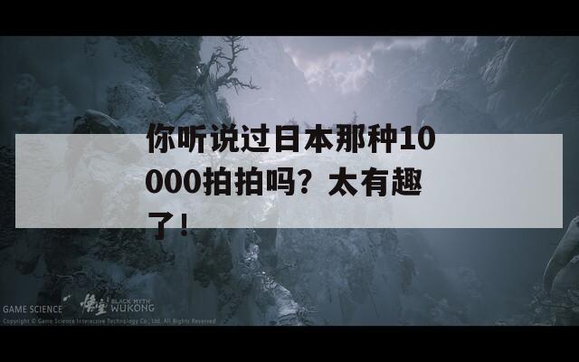 你听说过日本那种10000拍拍吗？太有趣了！