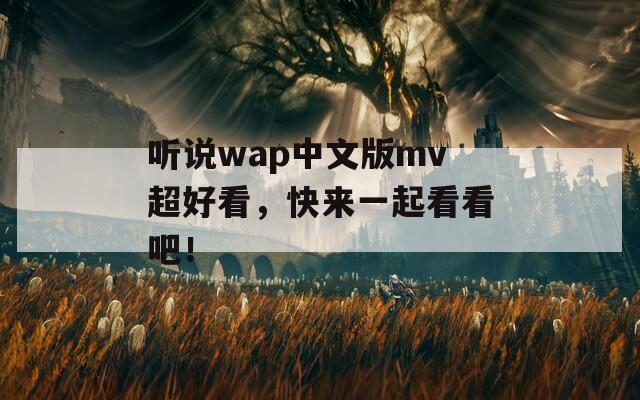 听说wap中文版mv超好看，快来一起看看吧！