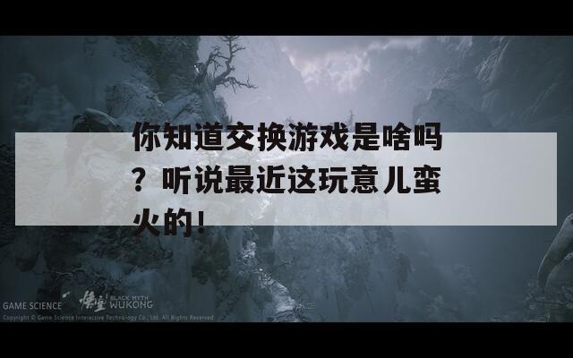 你知道交换游戏是啥吗？听说最近这玩意儿蛮火的！