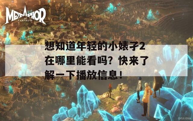 想知道年轻的小婊孑2在哪里能看吗？快来了解一下播放信息！