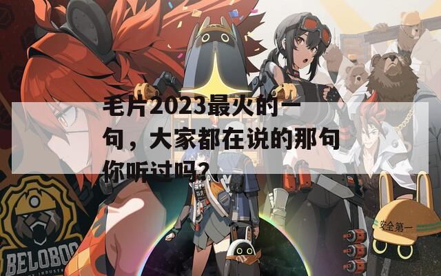 毛片2023最火的一句，大家都在说的那句你听过吗？