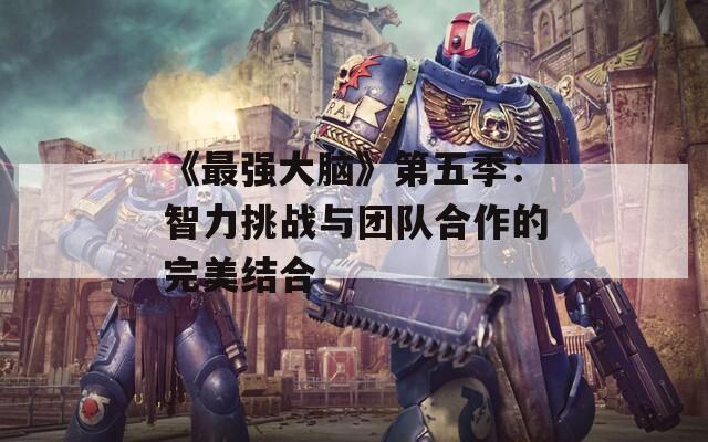 《最强大脑》第五季：智力挑战与团队合作的完美结合  第1张