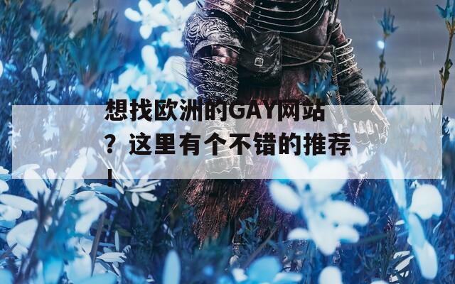 想找欧洲的GAY网站？这里有个不错的推荐！