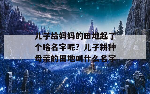 儿子给妈妈的田地起了个啥名字呢？儿子耕种母亲的田地叫什么名字