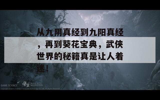 从九阴真经到九阳真经，再到葵花宝典，武侠世界的秘籍真是让人着迷！