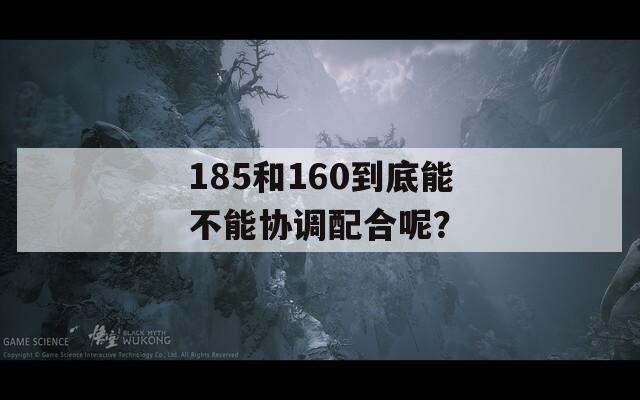 185和160到底能不能协调配合呢？