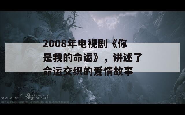 2008年电视剧《你是我的命运》，讲述了命运交织的爱情故事  第1张