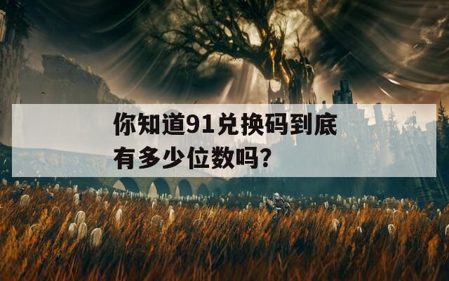 你知道91兑换码到底有多少位数吗？  第1张