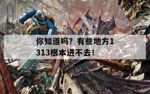 你知道吗？有些地方1313根本进不去！