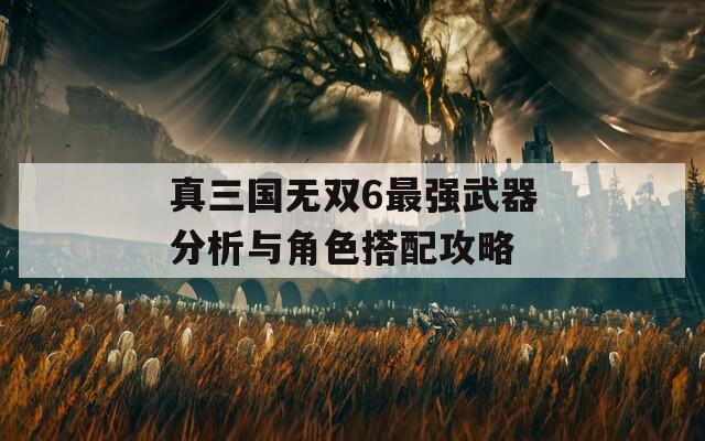 真三国无双6最强武器分析与角色搭配攻略