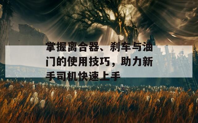 掌握离合器、刹车与油门的使用技巧，助力新手司机快速上手