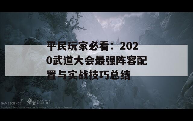 平民玩家必看：2020武道大会最强阵容配置与实战技巧总结  第1张