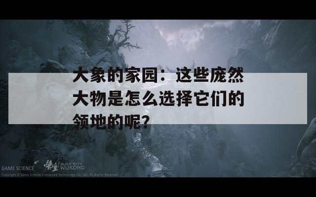 大象的家园：这些庞然大物是怎么选择它们的领地的呢？