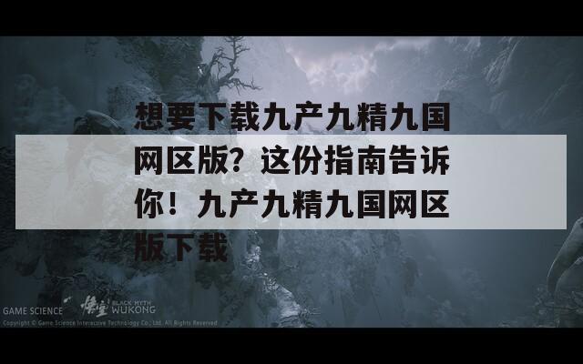 想要下载九产九精九国网区版？这份指南告诉你！九产九精九国网区版下载