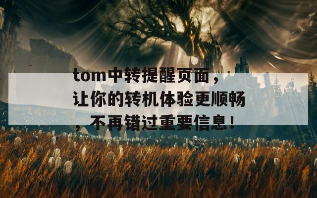 tom中转提醒页面，让你的转机体验更顺畅，不再错过重要信息！