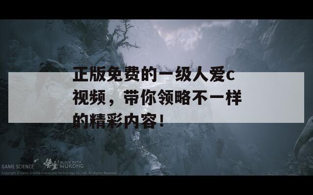 正版免费的一级人爱c视频，带你领略不一样的精彩内容！