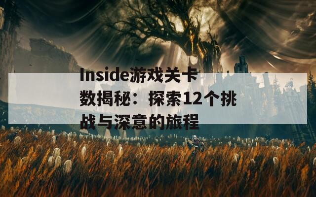 Inside游戏关卡数揭秘：探索12个挑战与深意的旅程