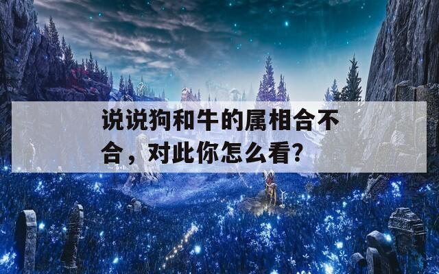 说说狗和牛的属相合不合，对此你怎么看？