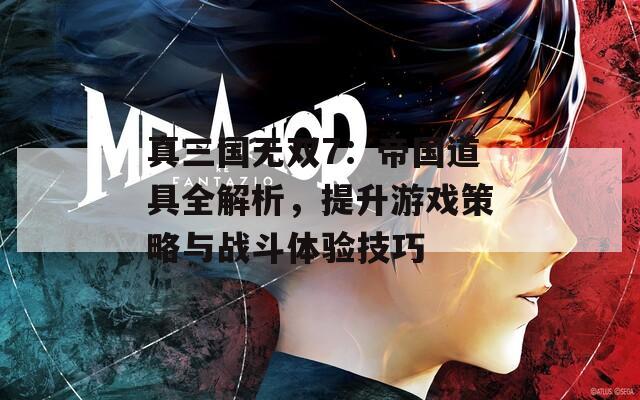 真三国无双7：帝国道具全解析，提升游戏策略与战斗体验技巧